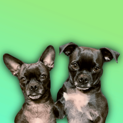 Lifestyle Photo Set