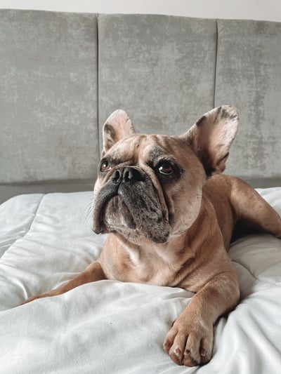 Lifestyle Photo Set