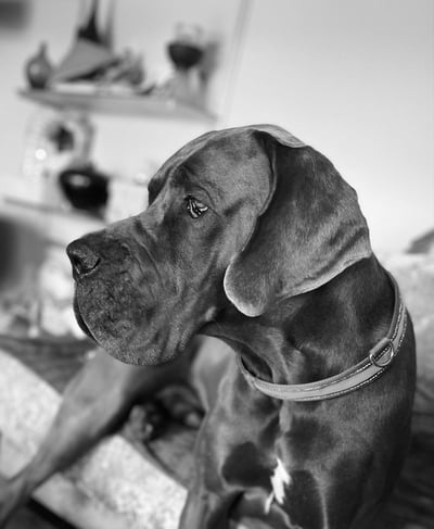 Lifestyle Photo Set