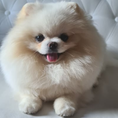 Lifestyle Photo Set
