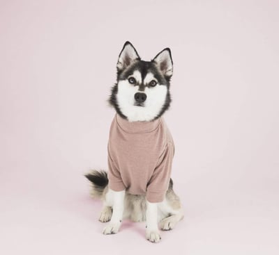 Lifestyle Photo Set