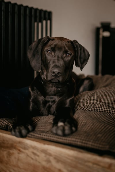 Lifestyle Photo Set