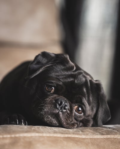 Lifestyle Photo Set