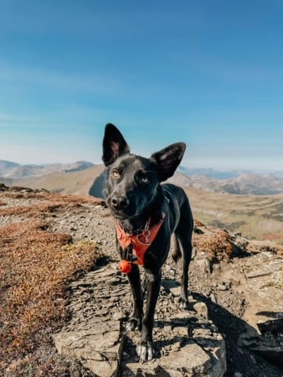 Lifestyle Photo Set