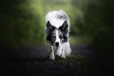 Lifestyle Photo Set