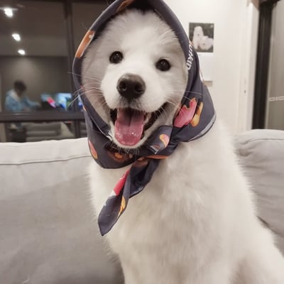 Lifestyle Photo Set