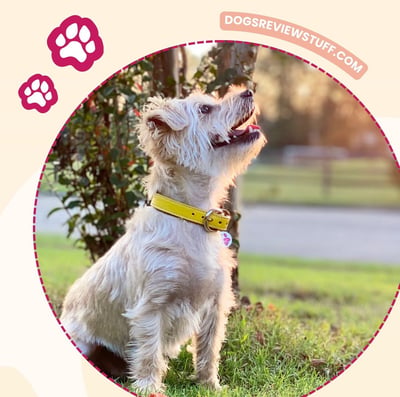 Lifestyle Photo Set