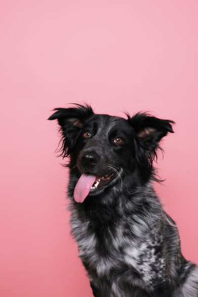 Lifestyle Photo Set