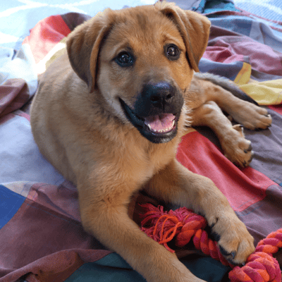 Lifestyle Photo Set