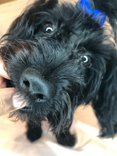 Lifestyle Photo Set