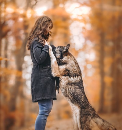Lifestyle Photo Set