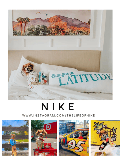Lifestyle Photo Set