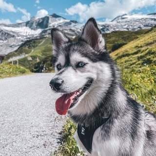 Lifestyle Photo Set