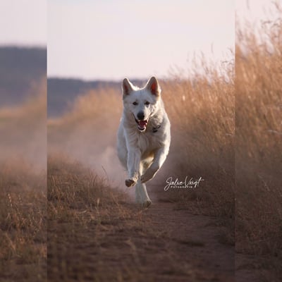 Lifestyle Photo Set