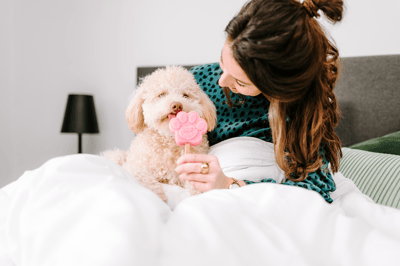 Lifestyle Photo Set