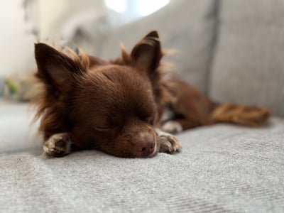 Lifestyle Photo Set