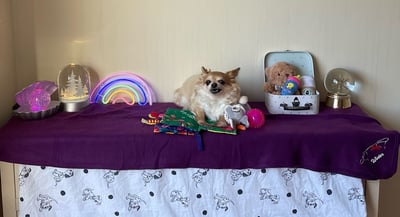 Lifestyle Photo Set