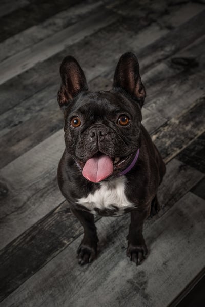Lifestyle Photo Set