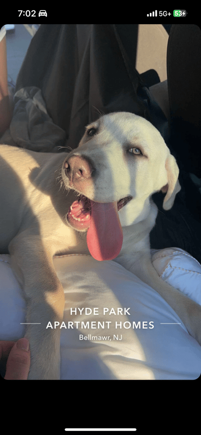 Lifestyle Photo Set