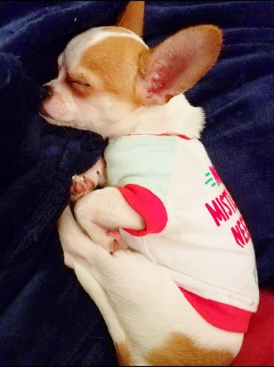 Lifestyle Photo Set