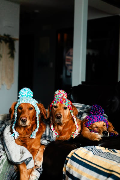 Lifestyle Photo Set