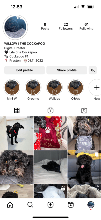 Lifestyle Photo Set