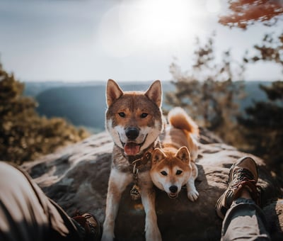 Lifestyle Photo Set