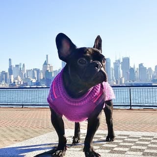 Lifestyle Photo Set