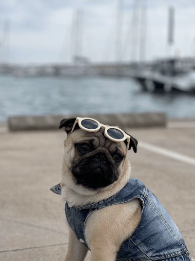 Lifestyle Photo Set