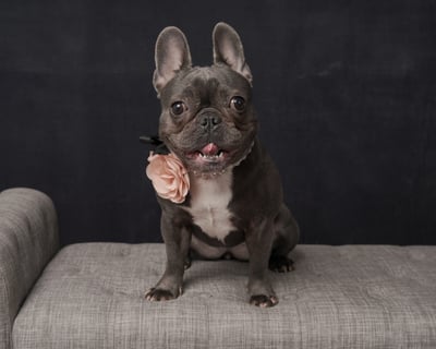 Lifestyle Photo Set