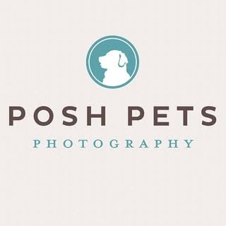 Lifestyle Photo Set