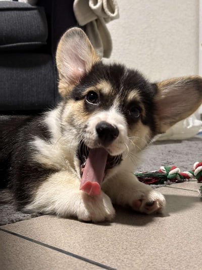 Lifestyle Photo Set