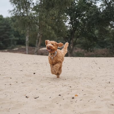 Lifestyle Photo Set
