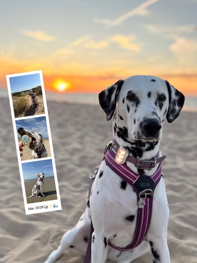 Lifestyle Photo Set