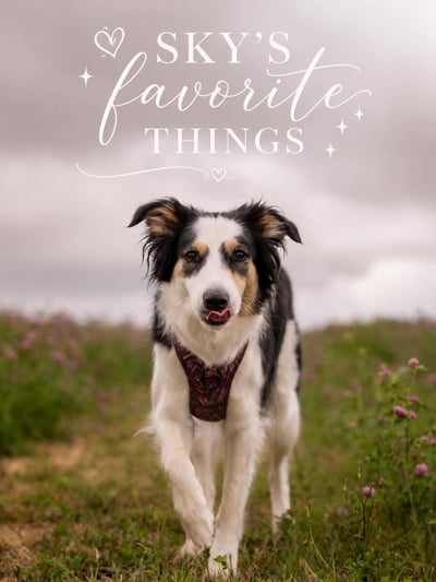Lifestyle Photo Set