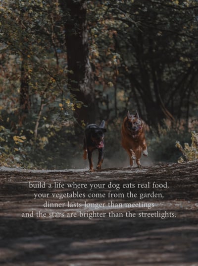 Lifestyle Photo Set