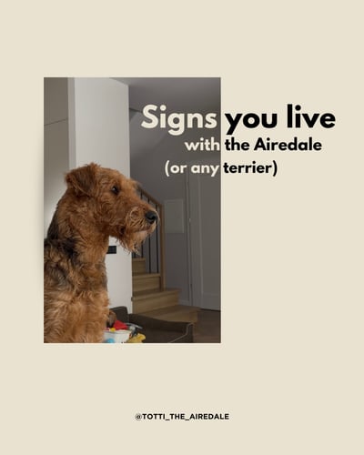 Lifestyle Photo Set