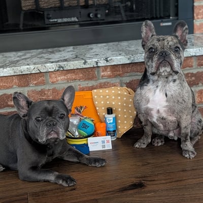 Lifestyle Photo Set