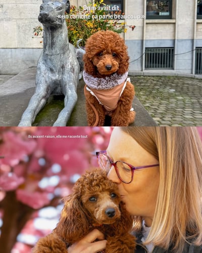 Lifestyle Photo Set