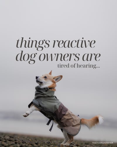 Lifestyle Photo Set
