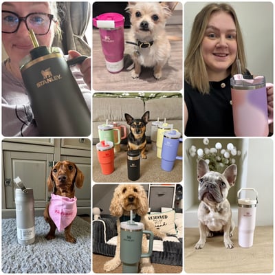Lifestyle Photo Set