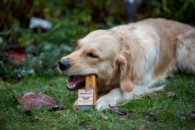 Yakkas