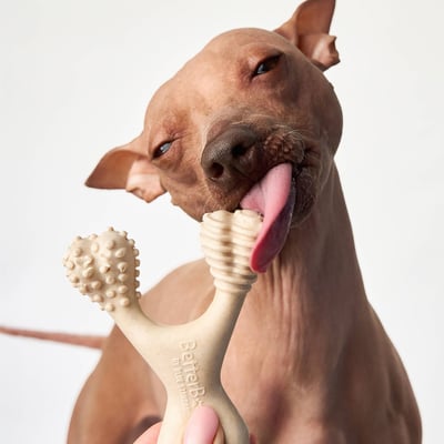BetterBone MODERATE Chew Toy
