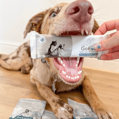 GoFuel - Energy Bar