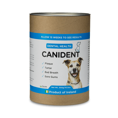 Canident