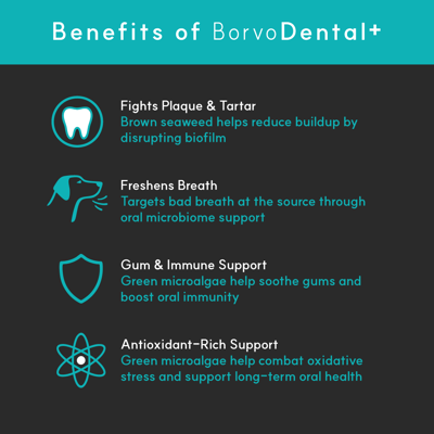 Borvo Nutrients Dental+ Seaweed and Microalgae Powder for Dogs Teeth