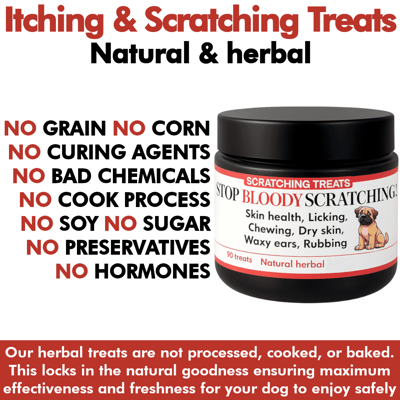 Stop Bloody Scratching