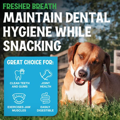 Standard Bully Sticks for Dogs