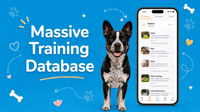 Dog Care - Expert Train