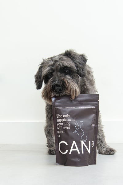 CAN9 Daily Dog Supplement - 300g Pouch